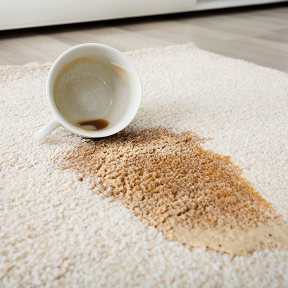 Carpet cleaning | LeClaire Flooring