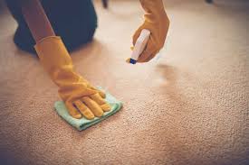 Carpet cleaning | LeClaire Flooring