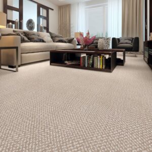 Carpet living room flooring | LeClaire Flooring