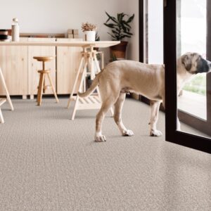 Carpet office flooring | LeClaire Flooring